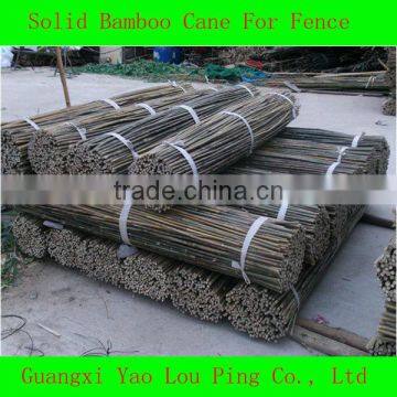 Green Garden Bamboo Canes