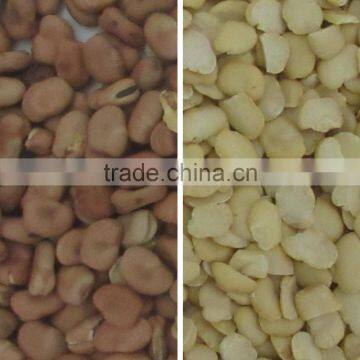 Color Sorter in China Bean Sorting Machine photo-3