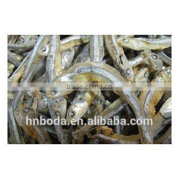 Fish Drying Machine photo-4