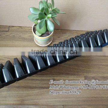 Black PS Material Plastic Type Plant Seed Growing Tray/ Vegetable Seedling Propagator/Flower Nursery Germination Tray photo-5