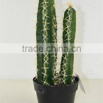 SJ3001107Ornamental Artificial Green Cactus Plants photo-3