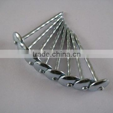 Galvanised/zinc plated umbrella roofing nails