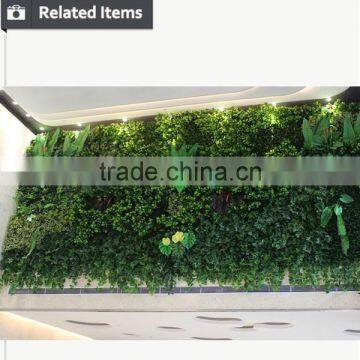 2015 Manufacturer Decorative Wall Pieces Vertical Green Wall photo-4