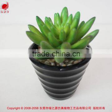 Wholesale Artificial Plants Mini Succulents for Indoor Decoration photo-5