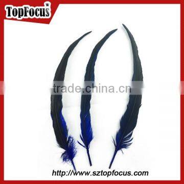 Wholesale Colourful Long Saddle Hackle Grizzly Rooster Feathers for Sale photo-5