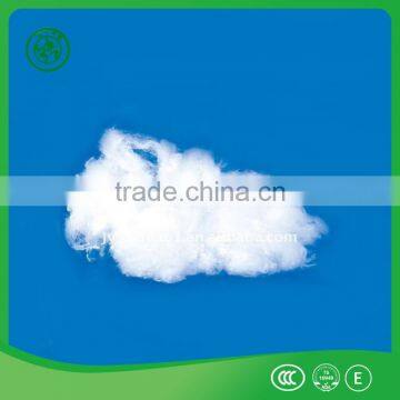Viscose Staple Fiber Factory