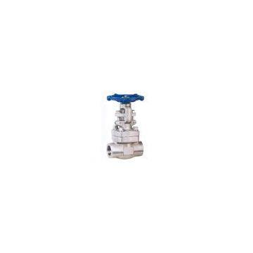 gate valve
