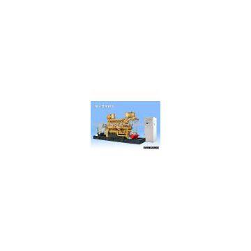 Natural Gas Generator