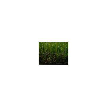 Artificial turf for landscaping (40L59NK33C4)
