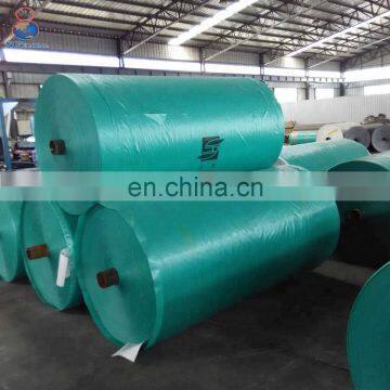 UV Resistant heavy duty PE tarpaulin roll