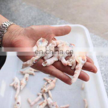 Factory Direct Sale Stainless Steel Electric Chicken Feet Wing Cutting Machine photo-3