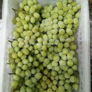 Fresh Fruit/Apple photo-4