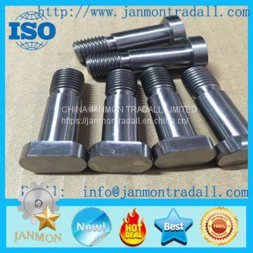 Customize Supply Stainless steel bolt,Carbon steel bolt,High tensile steel bolt,Mid-steel bolt,T head bolt,Hex head bolt,Round head bolt,Square head bolt,Special head bolt,Zinc galvanized bolt,Black oxide bolt.
