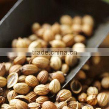 Finest Quality Organic Coriander Seeds For OEM