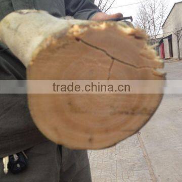 Runshine Since 1989 DWC40 Wood Chipper Shredder Mulcher Quality Choice photo-5