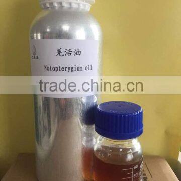 organic good quality of natural notopterygium oil 99% root oil