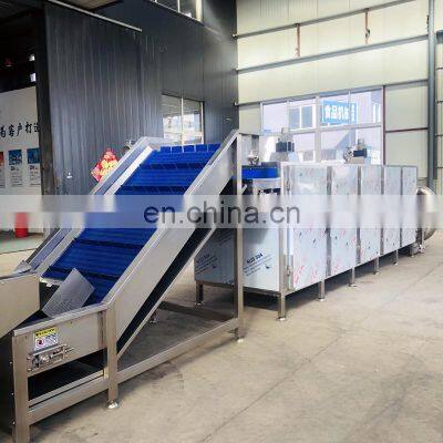 Industrial Fruit Dehydrator Vegetable Fruit Dehydration Machines photo-5