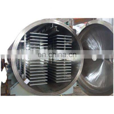 Large-scale Vacuum Freeze Dryer for Fruit Drying