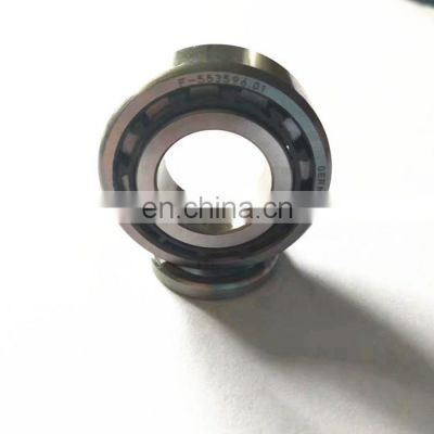 F-553596.01 bearing F-553596 Cylindrical roller bearing F-553596.01 17*35*14mm