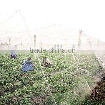 Jiangsu Green Full anti-insect net