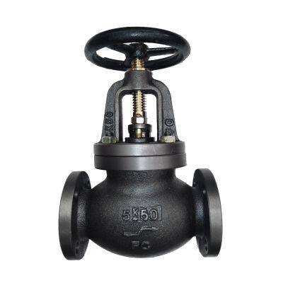 DN65 2 1/2 Inch Marine JIS F 7351 F7409 Bronze Cast Iron FC 5K 65 Screw-Down Check Globe Valve photo-3