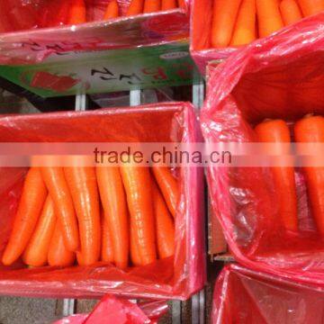 healthy food fresh carrot fresh carrots for sale