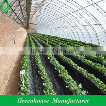 Cucumber Strawberry Cheap Greenhouse