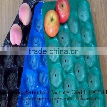 Customized Compartment Plastic Blister Packaging Tray for Fruit and Vegetable Packing photo-4