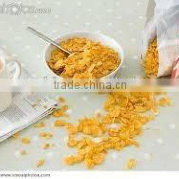 Tailormade Extruding Breakfast Cereal Production Line, Corn Flake Machine photo-4