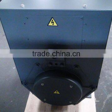 STF Brushless Alternator Generator Sale photo-6
