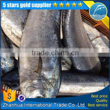 New arrival frozen mahi mahi whole round dolphinfish export