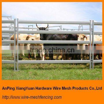 Oval Rail Cattle Panels (factory & Exporter) CF03