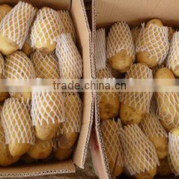 New Crop Potato Bag 10kg With Competitive Export Price