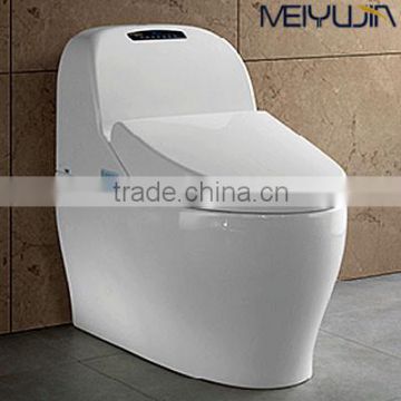 Automatic Intelligent Toilet Seat With Constant Temperature And Remote Controller