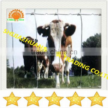 dairy cow fence animal fence sheep fence farm