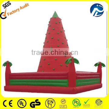 commercial rock inflatable climbing walls,hot sale climbing mountains