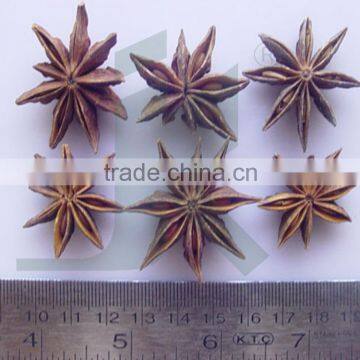 ILLICIUM VERUM