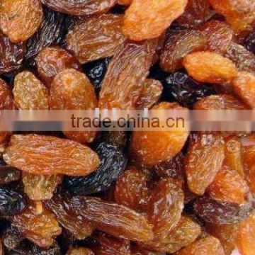 thompson seedless raisins