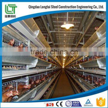 steel structure design poultry farm shed