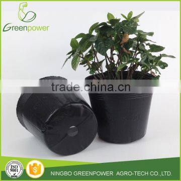 plastic black nursery pot of flowers