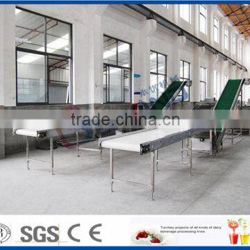 Fruit belt conveyor