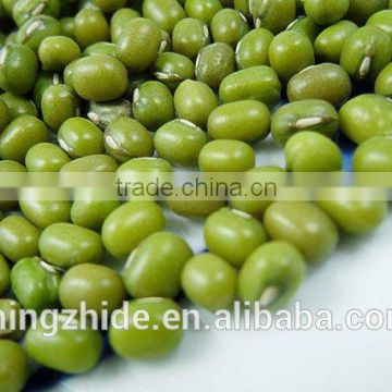 Green Mung Beans(New Crop High Quality )