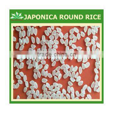 VIETNAMESE JAPONICA RICE - FRESH RICE, CROP 2015