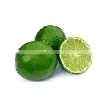 HKVIMEX Fresh Lime