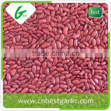 Small Red Kidney Beans Nutrition Facts photo-2