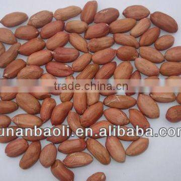 Chinese Peanuts Long Type 24/28