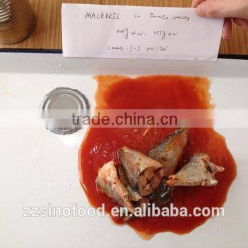 Hot Selling Canned Mackerel Canned Fish