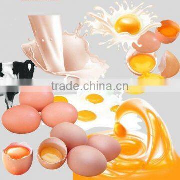 whole egg powder