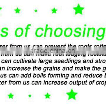 Granular Npk Compound Fertilizer 20-20-20 photo-6