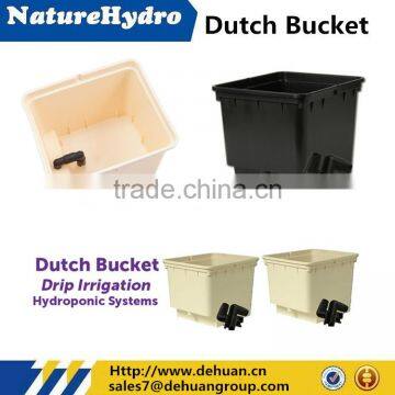 Commercial dutch bucket hydroponic growing systems
